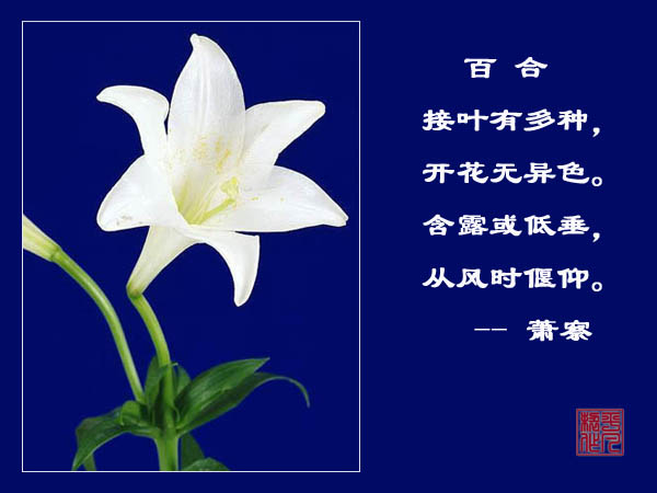 mƬ��ַ��ȫ