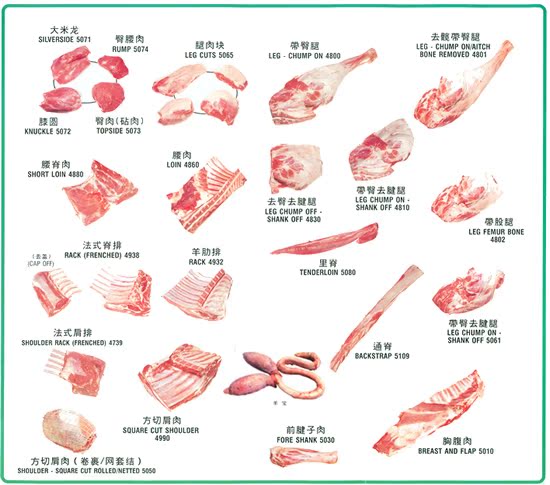 羊部位分割