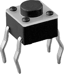 רҵ�����ᴥ����6X6�� 