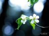���龡��http://052387791442gyq.blogcn.com
