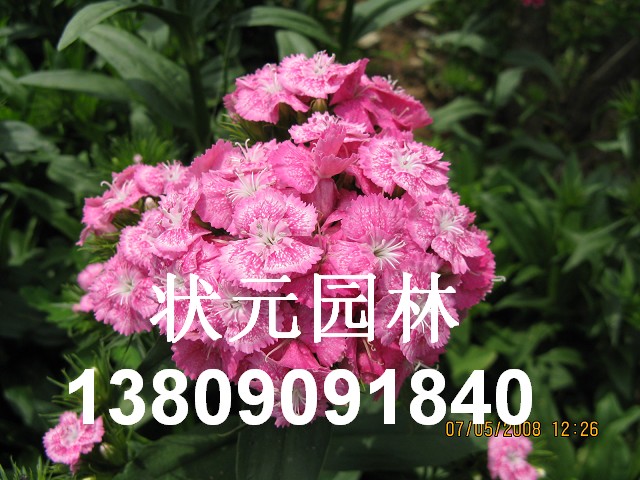 �ر�ʯ��ʵ�ġ� 