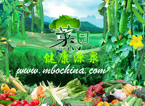 ��ָ�ϡ������µĿ�ѧ֪ʶΪ�����������˵�ǰ�ҹ������Ӫ����Ҫ����ʳ�д��ڵ���Ҫ���⣬����ҹ�������ʳ���ѵ�Ӫ��״����ʵ��������ر��������ȫ������Ӫ���뽡��״����������ݼ����ϣ�������ʵ��ƽ����ʳ����ȡ����Ӫ�����ж��������Թ���������ձ��ָ�����塣