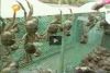 湖南和平水产的大通湖大闸蟹
<br><br>