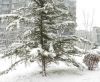 青岛爱海德印刷品上传青岛雪景0532-83838631/2 www.print-printing.cn 83838631@163.com