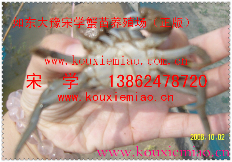��Ҫ��зԭ�ϵ�ʳƷ���ҿ����������������Ķ���з��ɶ������Ķ���з�硣����ģ�ɽկ������ȫ������з���ҵķ۾��������±����ã�û�취�����ּ��ϡ���׼�����Ŷ ��ѧ 13862478720  