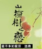 艾米的小说,首印八十万 《山楂树之恋》破土而出