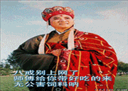 �޹�����ֳ��רҵ�ƹ��޹������ϼ�������������
