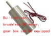 Brushless motor reducer (non-Hall-type), slow motor