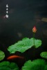 一片清新在此中
