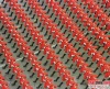 1999年阅兵女民兵方队(极其整齐)