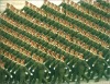 1999年阅兵陆军方队