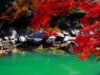 相思浓浓,染红了秋叶漫山遍野;
泉水清清,映出了情意刻骨铭心