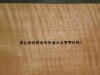 安利格影(又称红影)