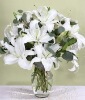 �����ʻ� �ʻ��ٵ� ����ͻ� ������Сʱ�ͻ����� �����ͻ��󸶿�