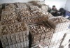 2--5公分的优质双孢菇,整菇制罐、鲜销都较适宜