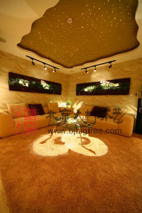 美容院装修设计-北京大树常青环境艺术有限公