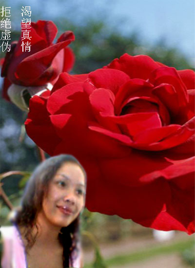 Ԫ˳ľ�յĲ���