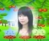 a52131420081�Ĳ���