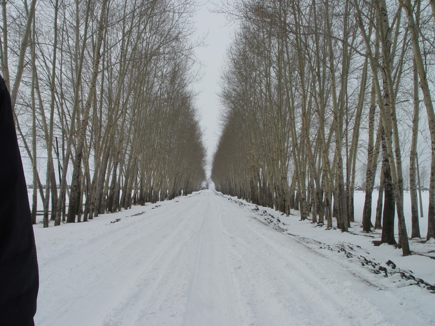 ��Աͷ��
