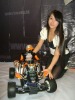 dgxianhao�Ĳ���