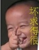li19860218