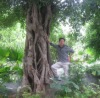 lichaochun1976�Ĳ���
