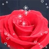 pandzxm1984