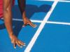 qq277528416�Ĳ���