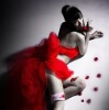 wyanglong�Ĳ���