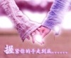 xumaofang�Ĳ���