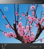 xuqingmei2009�Ĳ���