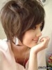 zhangzhen09�Ĳ���