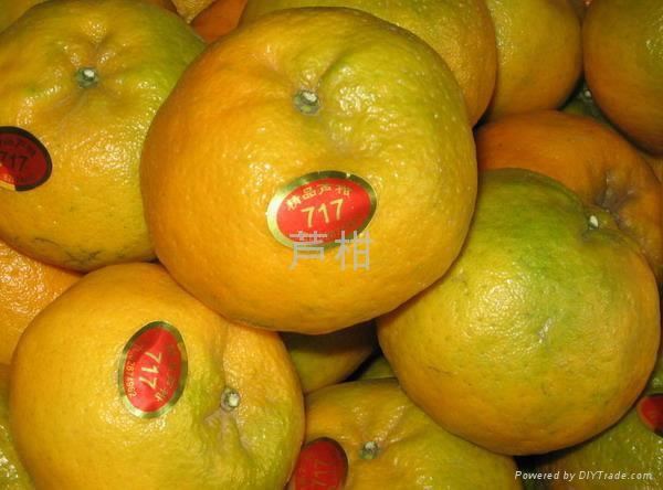 ��Աͷ��