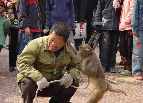 一场残酷的耍猴表演