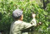 �羰�续
���ߣ�shijuhong
�ظ���2
����:21