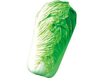 ���������ţ�������80�죬����4.2Kg&hellip;