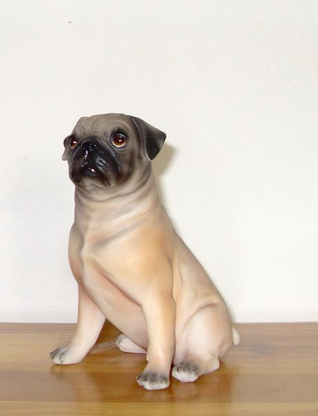 来看看你的宝贝智商在世界的排行榜上是第几名