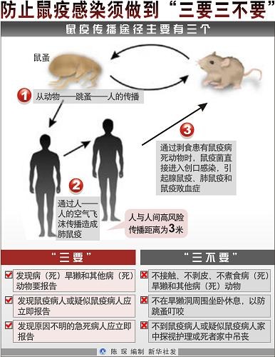 肺鼠疫是什么肺鼠疫的症状以及如何预防
