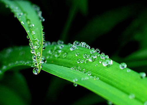 创业者如何面对失败( YC )!