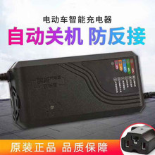跨境綠源愛瑪立馬小鳥蓄電池鉛酸電池三輪電動車充電器60V20AH