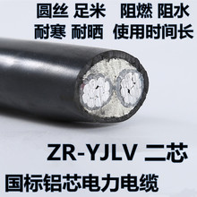 國標ZR-YJLV鋁芯鎧裝阻燃電纜2芯10 16 25 35 50平方二芯電纜線