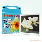 【幼教通】宝宝第一盒认知卡,启蒙读物 母婴用品