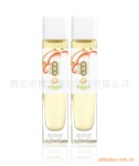 ��»�ɺ����ͣ��в���װ��
