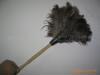 shrink ostrich feathers dusting