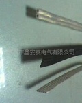 硅胶排线特软 黑色 透明 2P(图)