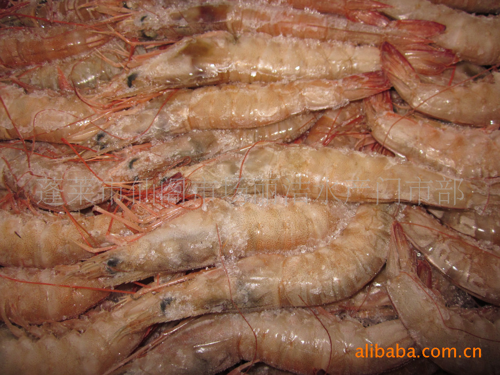 沙特虾--低价位消费的美味(蒸、煮、炒、涮、烤