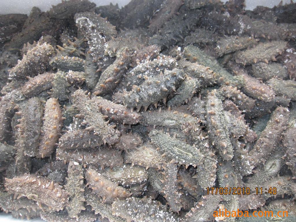 干制水产品-供应进口加拿大美国海参皮,干海参
