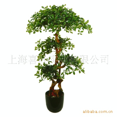 【供应仿真植物 人造植物 假树 仿真福禄桐树】