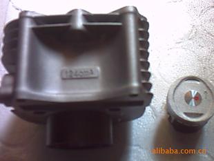 摩托车发动机及配件-济南轻骑铃木韵彩QS100