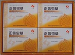 山东正信供应礼品装冬虫夏草